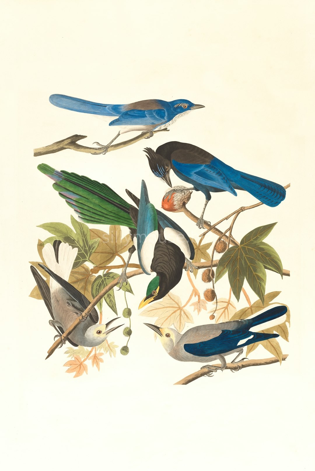 Gallery 2
